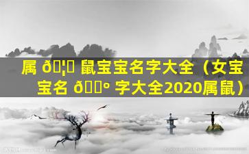 属 🦈 鼠宝宝名字大全（女宝宝名 🌺 字大全2020属鼠）